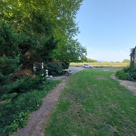 아파트 Soleil Catalan 50m2 Rdc 2km Ok Cheques Animaux 6pers 3000m2 Jardin Wifi 엘느